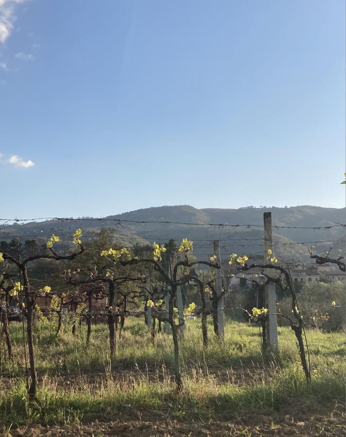 Un Posto Bed & Breakfast Bevagna Exterior photo